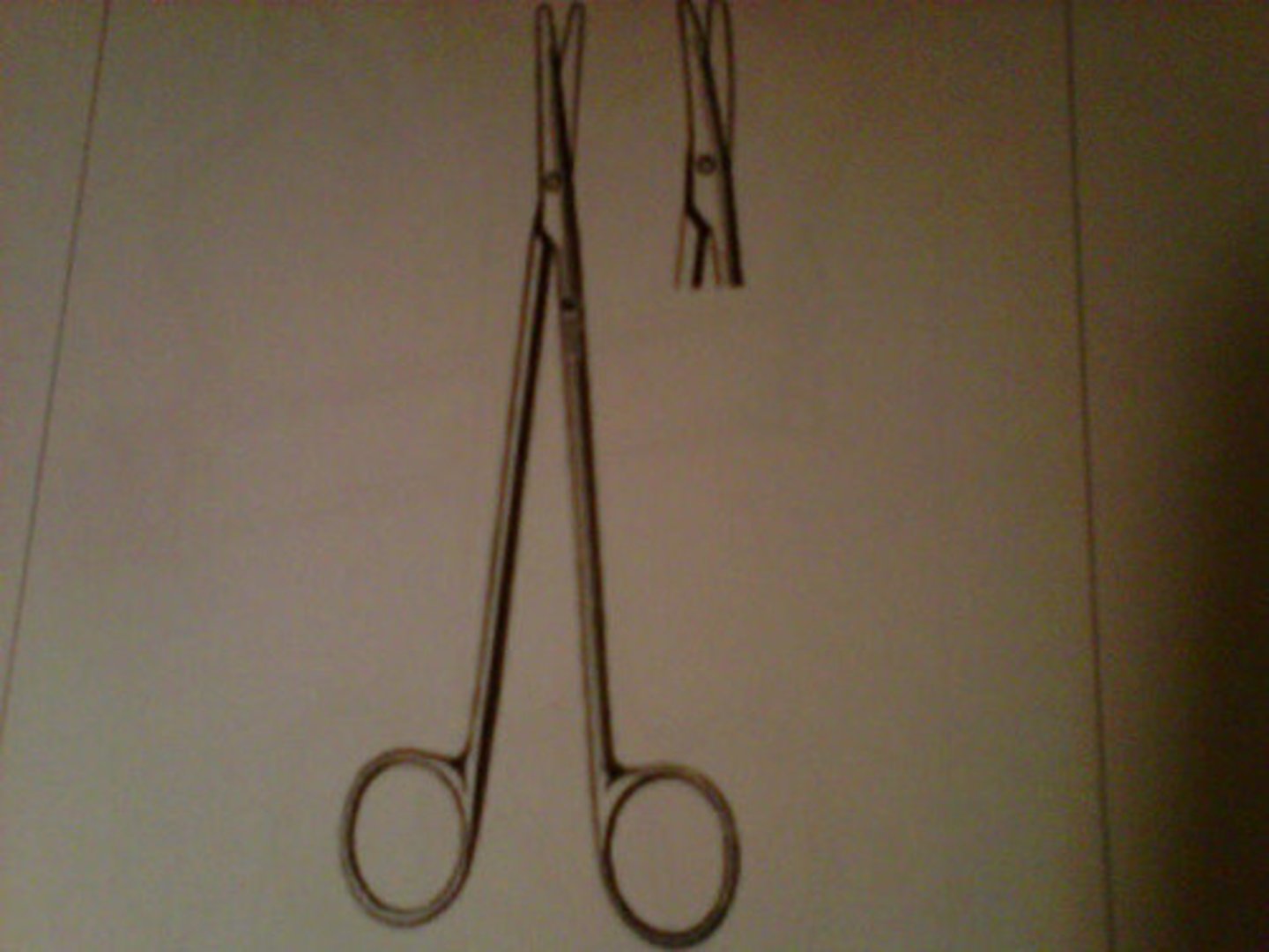 <p>Uses- cutting delicate tissue</p>