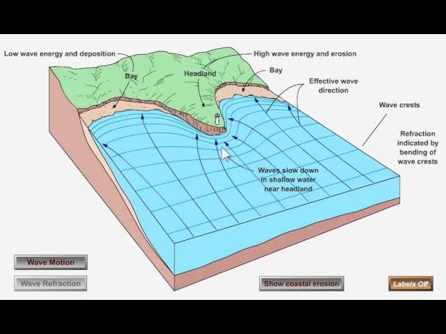 <p>As waves approach a coast, due to the uneven coastline, they are refracted so that thier energy is concentrated around headlands but reduced around bays. Waves then tend to approach coastlines parallel to it, and thier energy decreases as water depth decreases. </p>