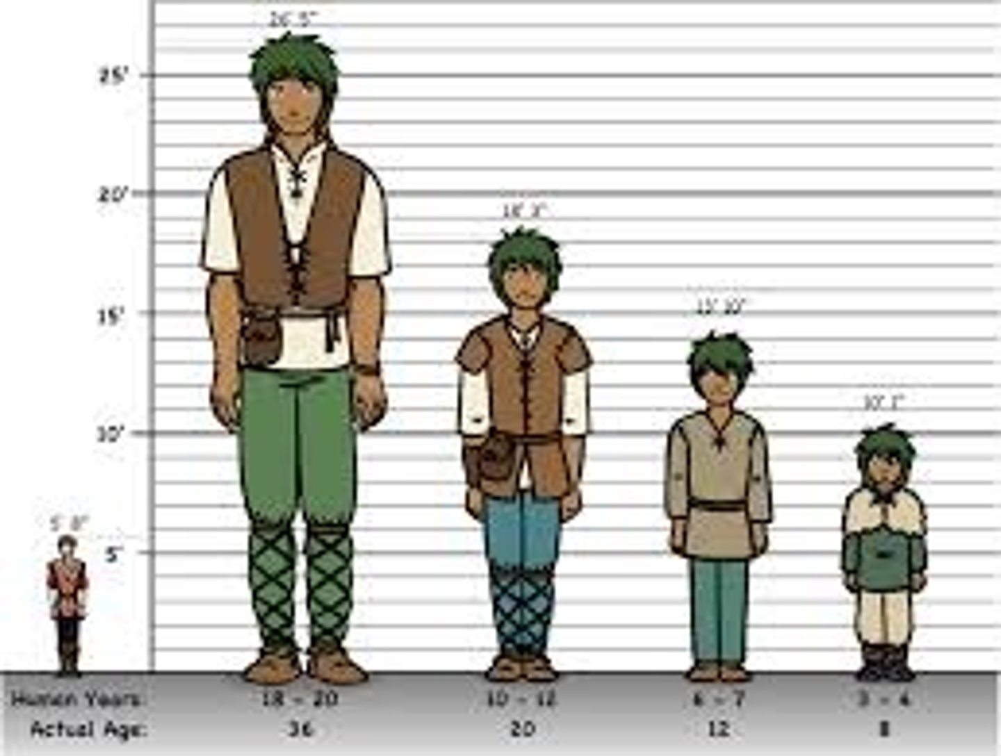 <p>shēn gāo - height</p>