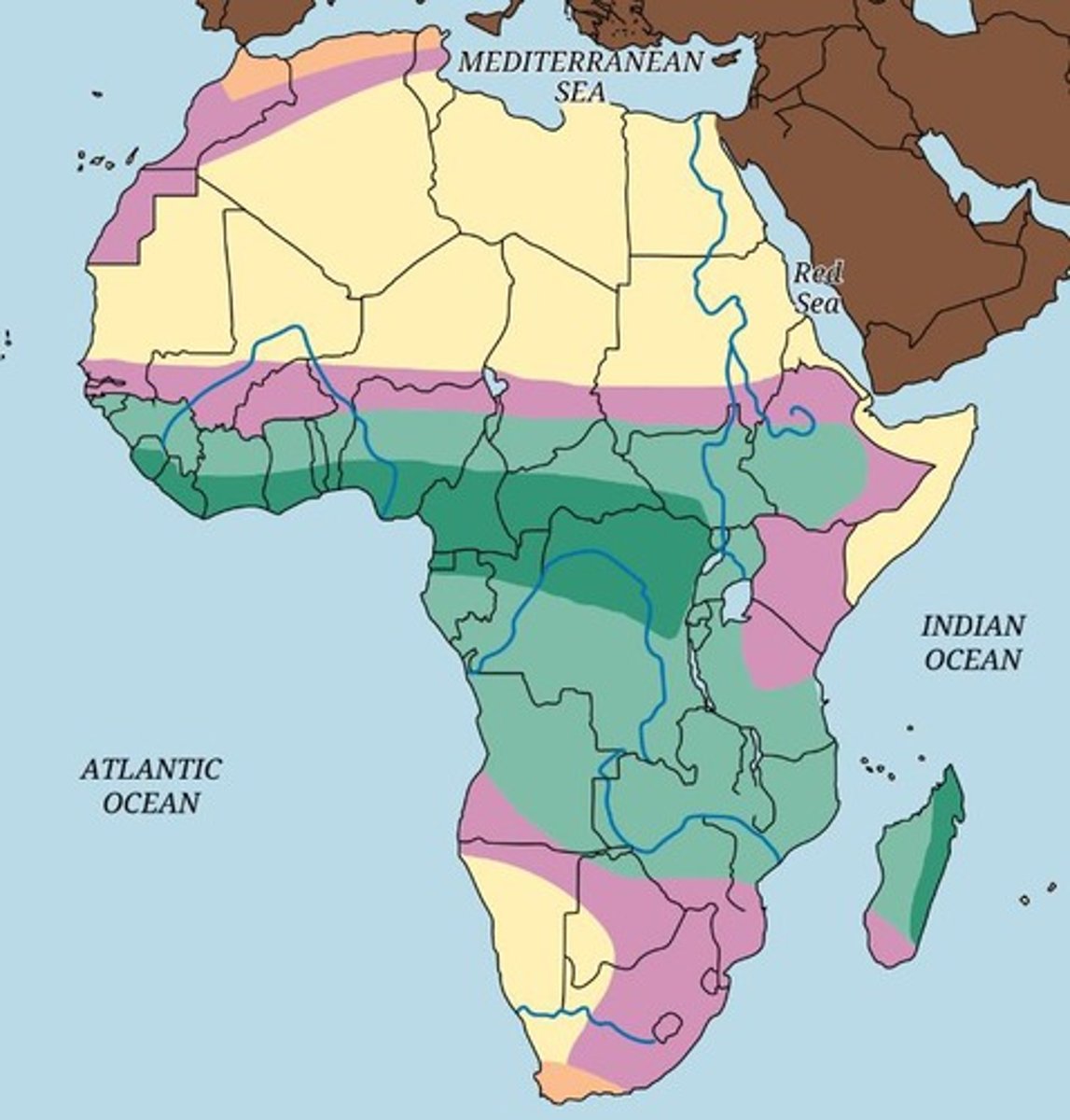 <p>Africa is the second-largest continent with five primary climate zones: desert, semiarid, savanna grasslands, tropical rainforests, and Mediterranean.</p>
