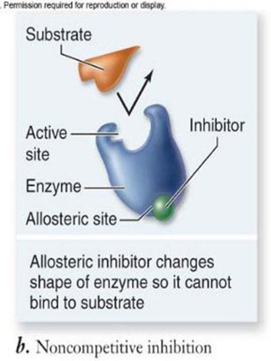 <p>molecules that temporarily inhibit enzyme function by binding to an allosteric site</p>