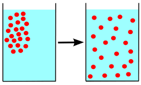 <p>Molecules spread from an area of high concentration to an area of low concentration, resulting in the net movement until equilibrium is reached. </p>