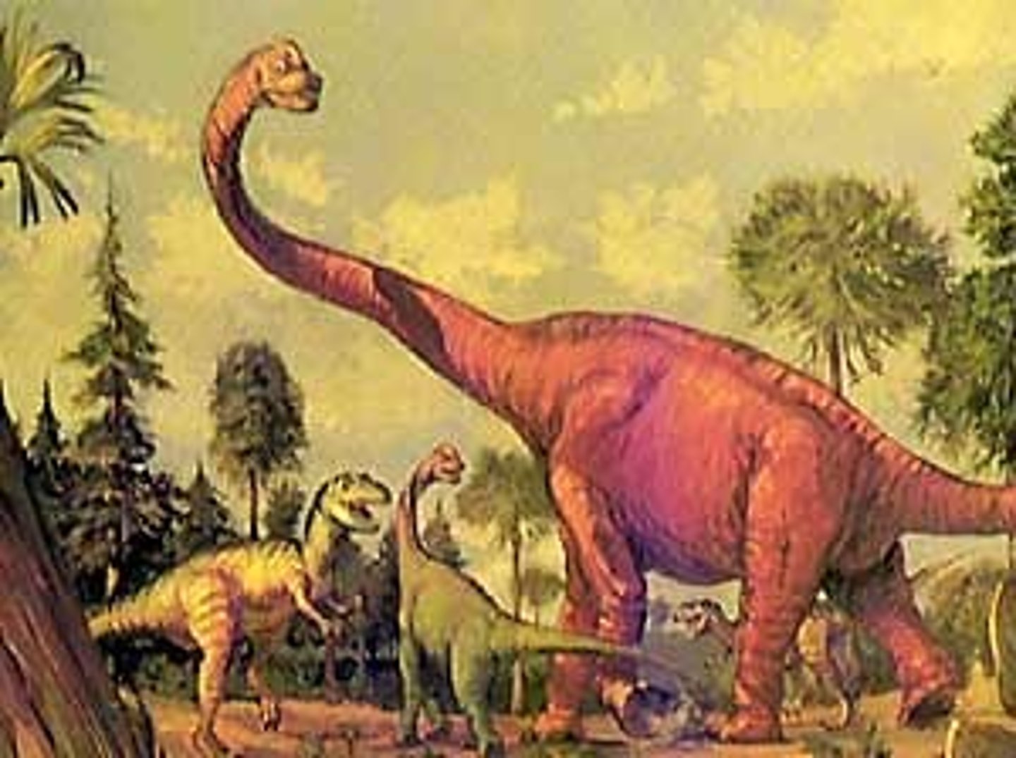 <p>1.a period of time, usually in history, that is different from other periods because of particular characteristics or events 2. (geology) a length of time which is a division of an aeon</p><p>kỷ nguyên</p>