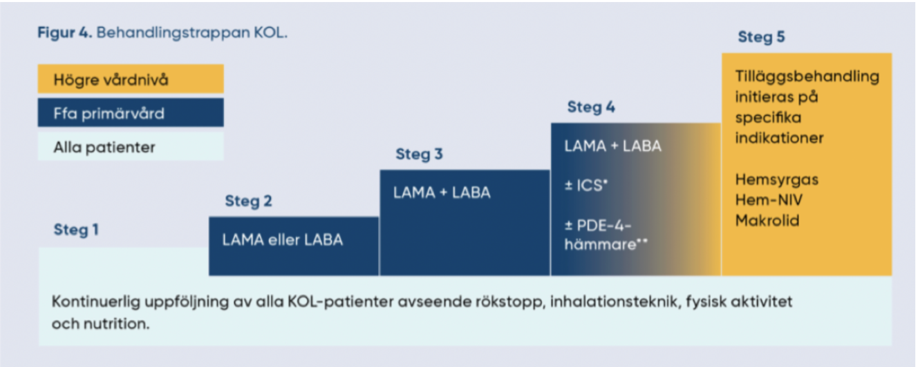 <p>Behandling syftar till symptomlindring och förebyggabnde av försämring i sjukdomen → mindre exacerbationer och minskad mortalitet.</p><p><span>Det finns 4 läkemedelsgrupper:</span></p><ul><li><p><strong><span>LAMA: </span></strong><span>Långverkande antikolinergika. Kan ge muntorrhet.&nbsp;</span></p></li><li><p><strong><span>LABA</span></strong><span>: Långverkande beta-2-agonister.&nbsp;</span></p></li><li><p><strong><span>Inhalationssteroider</span></strong><span>: Ges alltid i kombination med beta-2-agonister.&nbsp;</span></p></li><li><p><strong><span>Roflumilast</span></strong><span>: En PDE-4-hämmare som leder till ökat cAMP i celller → mildare symptom och mindre immunceller i luftvägarna. </span></p></li></ul>