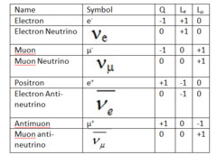 <p>Leptons: Electron (e-), muon (μ-), electron neutrino (νe), muon neutrino (νμ) Their antiparticles: Positron (e+), anti-muon (μ+), electron antineutrino (_νe), muon antineutrino (_νμ)</p>