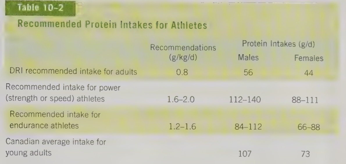 <ul><li><p>After deciding which proteins to build, muscles require <strong>extra amino acids from food</strong> to support growth and repair.</p></li></ul><p></p>