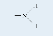 <p>Amine (functional group)</p>