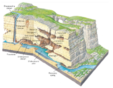 * Topography resulting from dissolution of limestone rocks by water

\

