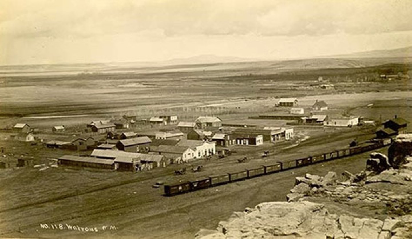 <p>arranged in a straight line, such as the distribution of towns along a railroad line, roads, rivers.</p>