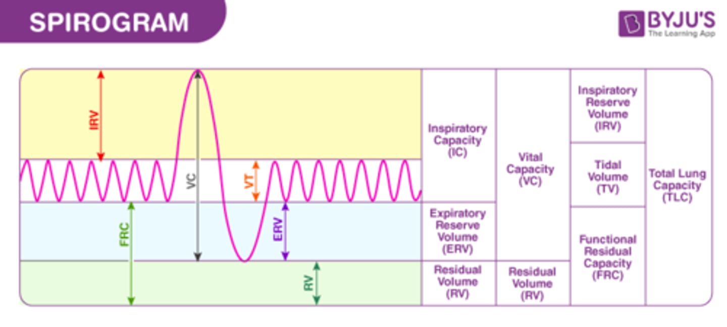 <p>TIDAL VOLUME </p><p>amount of air expired or inspired in quite breathing</p><p>EXPIRATORY RESERVE VOLUME </p><p>amount of air that can be forced out after tidal volume </p><p>INSPIRATORY RESERVE VOLUME </p><p>amount of air that can be forced in after tidal volume </p><p>RESIDUAL VOLUME </p><p>amount of air left in lungs after maximum expiration </p><p>VITAL CAPACITY </p><p>maximum amount of air that can be forcefully exhaled after a maximum inhalation </p><p>TOTAL LUNG CAPACITY </p><p>amount of gas in the lungs after a maximum inspiration</p><p>FUNCTIONAL RESIDUAL CAPACITY </p><p>amount of gas left in lungs after a normal expiration</p>