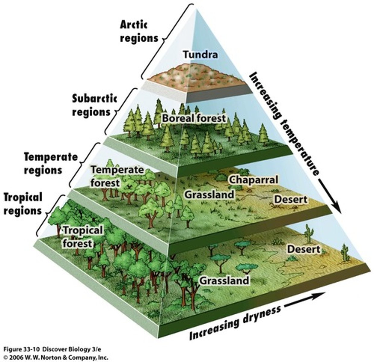 <p>regions of the world (large geographic areas) with similar climates (weather, temperature) that support distinctive animals and plants.</p><p>A tropical rain forest is an example of a biome</p><p>TERRESTRIAL BIOMES: Tundra, Rainforest, Savanna, Taiga, Temperate forest, Temperate grassland, Alpine, Chaparral, Desert</p><p>AQUATIC BIOMES: Freshwater, Freshwater wetlands, Marine, Coral reef, Estuaries</p>