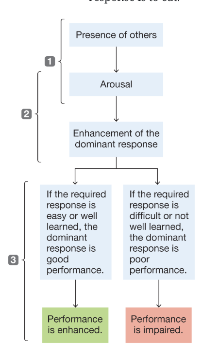 <p>the idea that the presence of others generally enhances performance</p>
