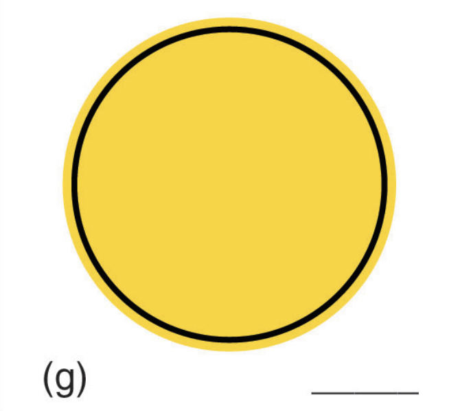 <p></p>