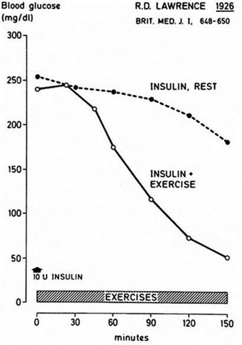 <p>Insulin levels decrease during exercise, while glucagon levels increase.</p>