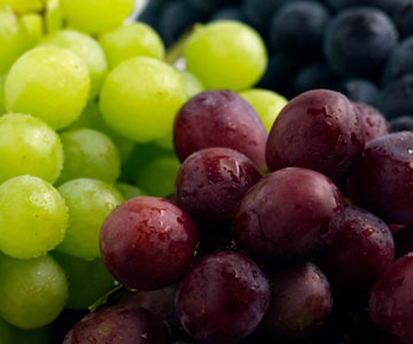 <p>grape</p>