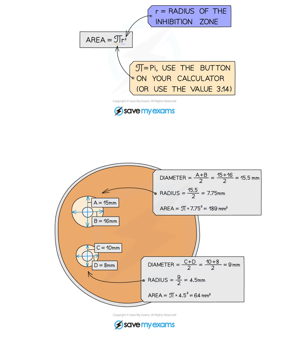 <p><strong><em>calculating area of clear zone = more accurate way of comparing effect of different substances on bacterial growth that judging by sight</em></strong></p><p><strong><em><mark data-color="blue">inhibition</mark> - area where no bacterial growth has occurred, larger zone = more effective substance</em></strong></p><ul><li><p><mark data-color="blue">effectiveness</mark> of different <mark data-color="blue">antibiotics</mark>, <mark data-color="blue">antiseptics</mark> or <mark data-color="blue">disinfectants</mark> can be determined by calculating <mark data-color="blue">area</mark> of <mark data-color="blue">inhibition zone</mark> around disc of <mark data-color="blue">tested substance</mark></p></li></ul><p><strong>calculation in image</strong></p>