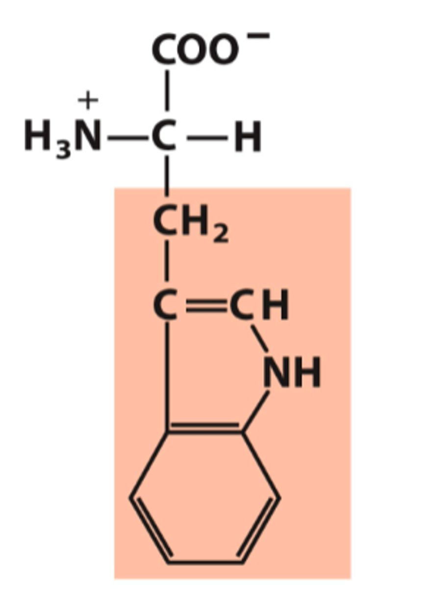 <p>What amino acid is this?</p>