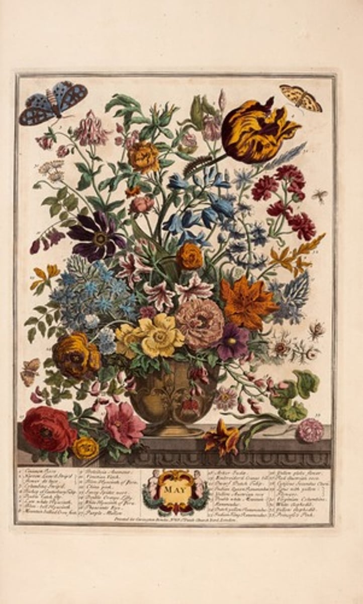 <p>? (the blooming flowers, FM 116)</p>