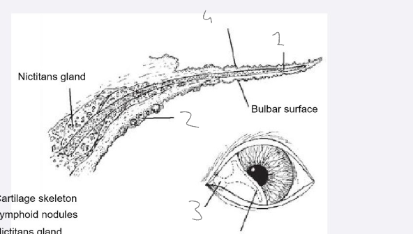 <p>Label this diagram</p>