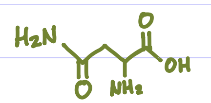<p>Is this Amino Acid Polar or Non-polar?</p>