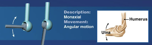 <p>Examples of which type of synovial joint?</p><ul><li><p>Elbow joint</p></li><li><p>Knee Joint</p></li><li><p>Ankle Joint</p></li><li><p>Interphalangeal Joint</p></li></ul>