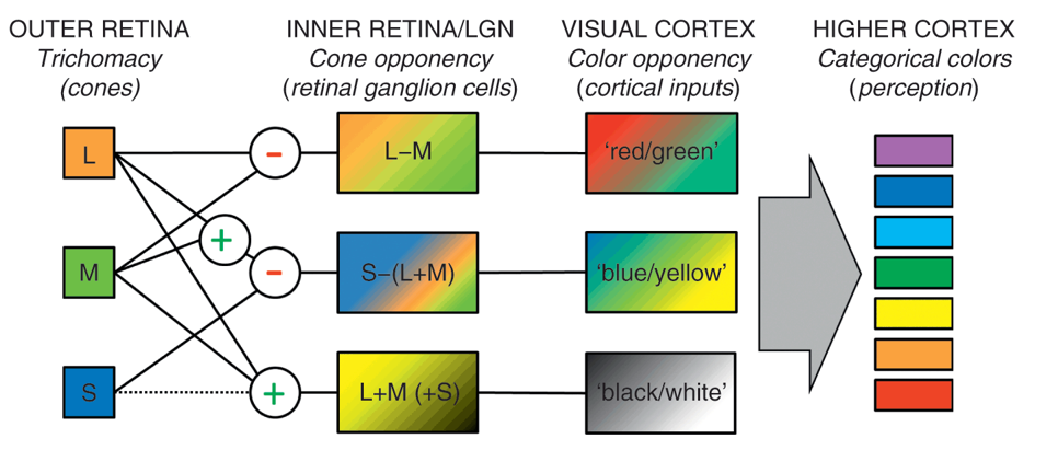 <p>Explain this diagram</p>