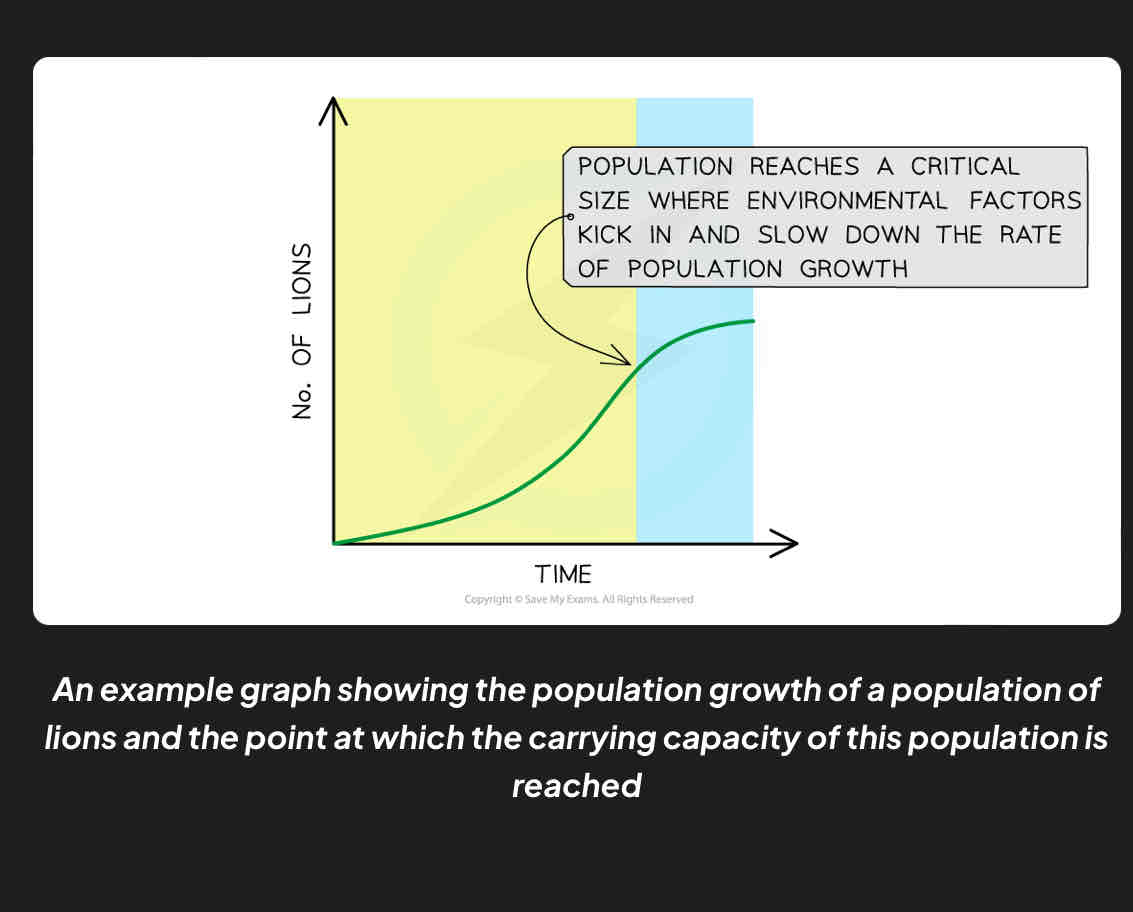 <p>Explain population and time graph</p>