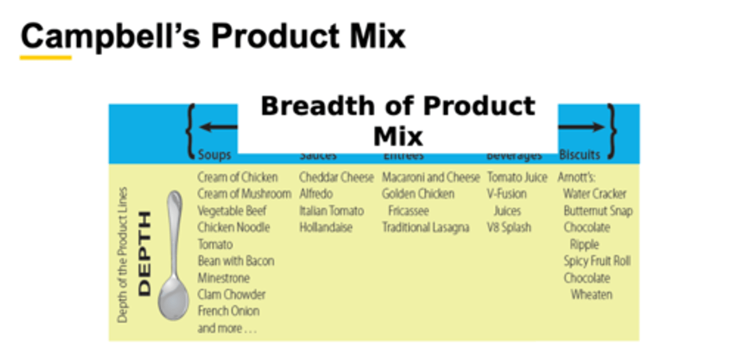 <p>- the number of different product lines a company offers</p><p>- A product line is a group of closely related products that either function in a similar manner, are sold to the same customer groups, or are marketed through the same outlets.</p><p>Example:</p><p>- Campbell Product Lines: Soups, Sauces Frozen Entrees, Beverages, Biscuits</p><p>Campbell's Product Mix</p><p>1. All of Campbell's products constitute its product mix. Each product in the product mix may require a separate marketing strategy.</p><p>2. In some cases, product lines and mixes share some marketing strategy components.</p><p>3. Advertising economies:</p><p>-product lines provide economies of scale in advertising.</p><p>4. Package uniformity:</p><p>- packages in the product line may have a common look but maintain their individual identities.</p><p>5. Standardized components:</p><p>- reductions in manufacturing and inventory costs.</p><p>6. Efficient sales and distribution:</p><p>- a product line enables a full range of choices to customers, and as a result, better distribution and retail coverage.</p><p>7. Equivalent quality:</p><p>- all products in a line are perceived as having similar quality.</p>
