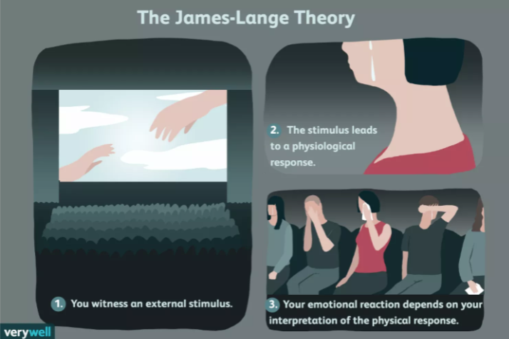 <p><span><span>James-Lange theory</span></span></p>