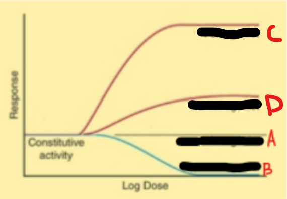 <p>Agonists vs antagonists</p>