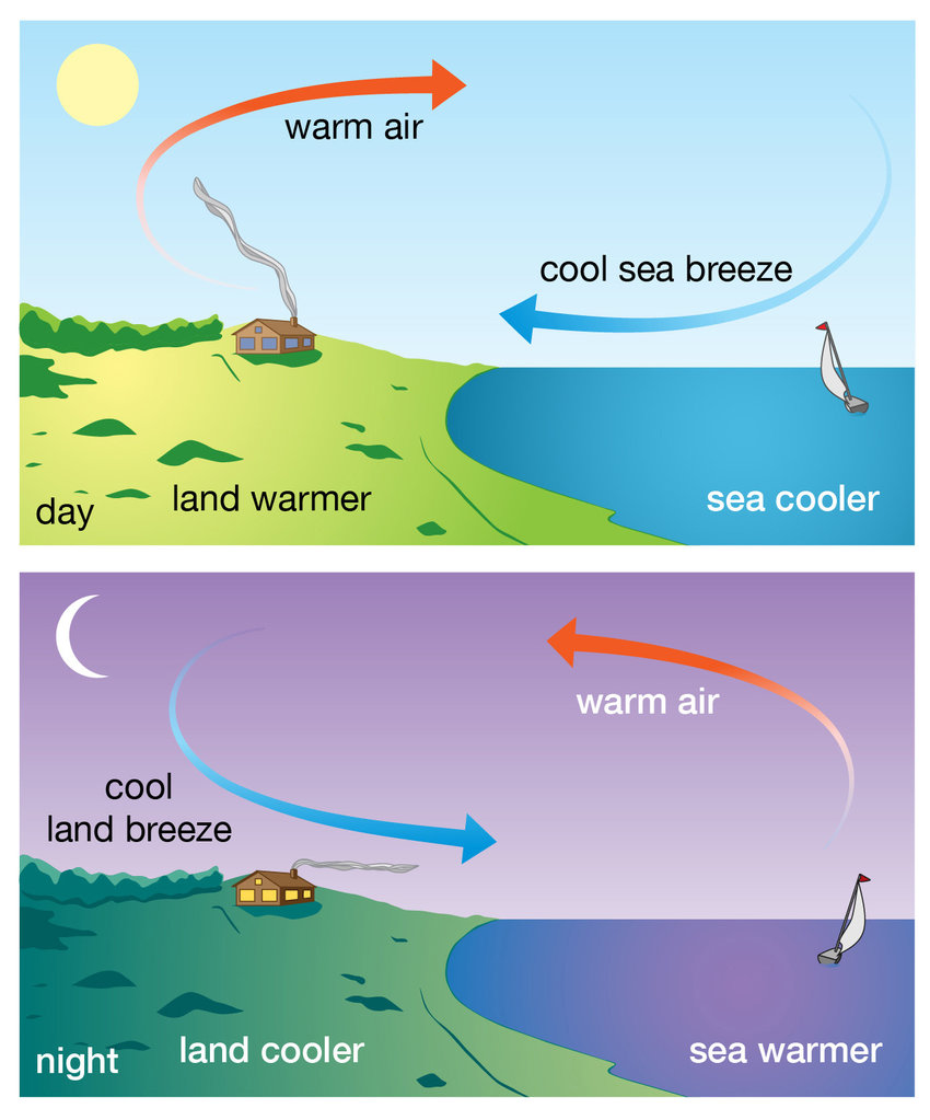 <ul><li><p>when the sun’s heat reaches earth, it heats up both bodies of land and water</p></li><li><p>areas nearby bodies of water have more moderate climate ranges and higher average precipitation</p></li></ul>