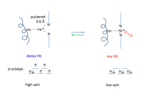 <p>~13+/- on left (salt bridges)</p>