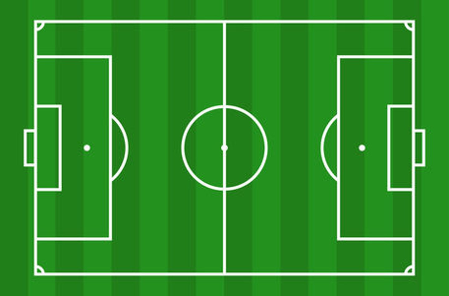 <p>the soccer field</p>