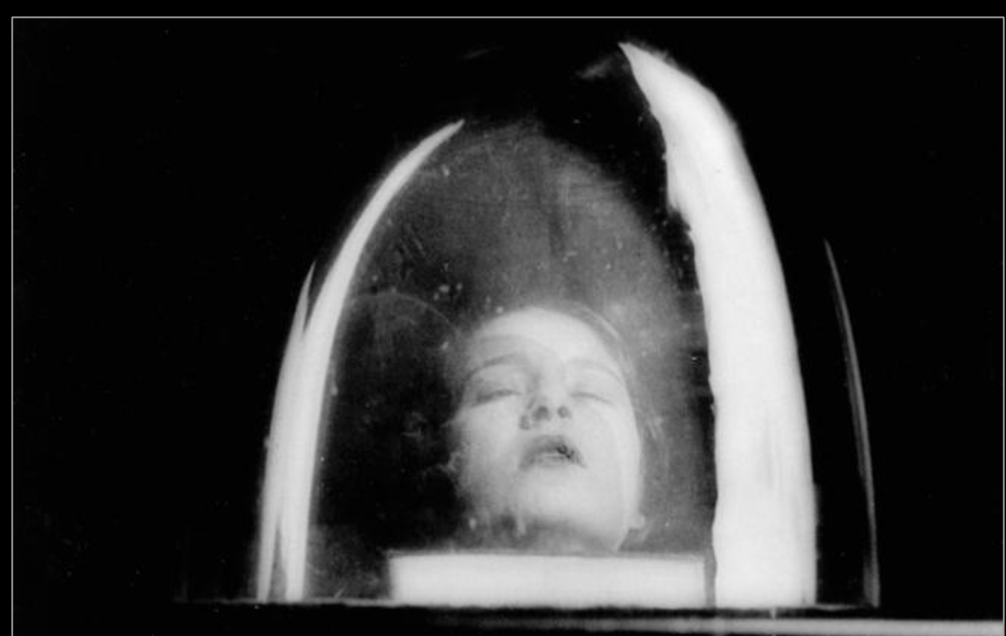 Tanja Ramm Under a Bell Jar, 