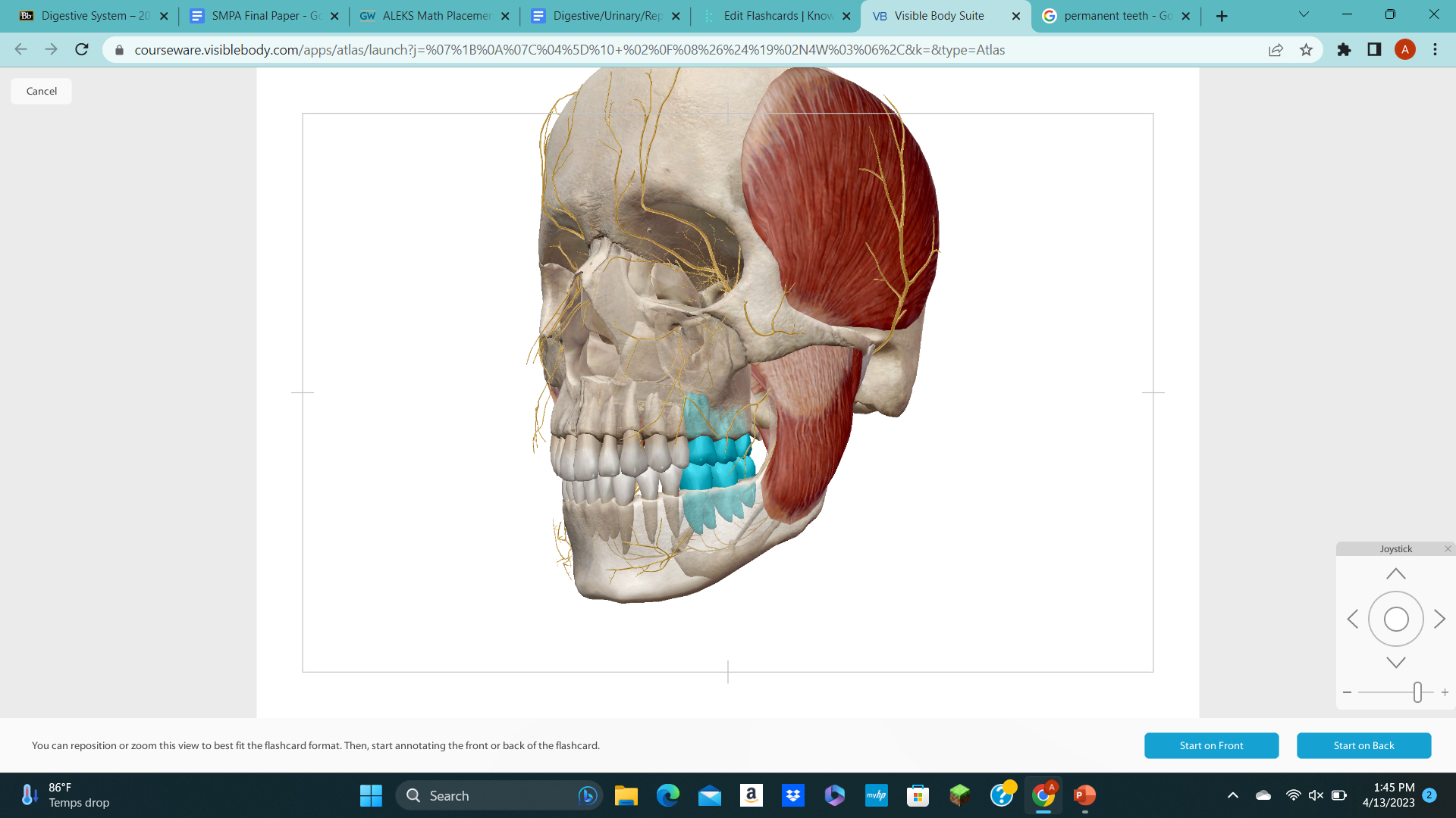 knowt flashcard image