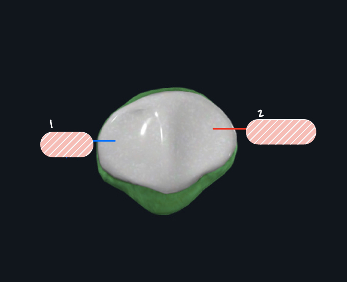 <p>Label 1</p>