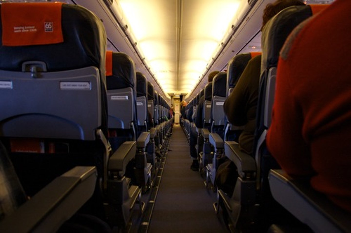 <p>aisle</p>