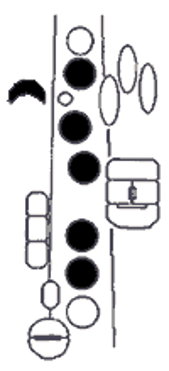 knowt flashcard image