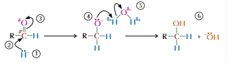 <ul><li><p>Can reduce carbonyl groups to alcohol using reducing agent</p></li><li><p>Usually NaBH<sub>4</sub></p></li></ul><p></p>