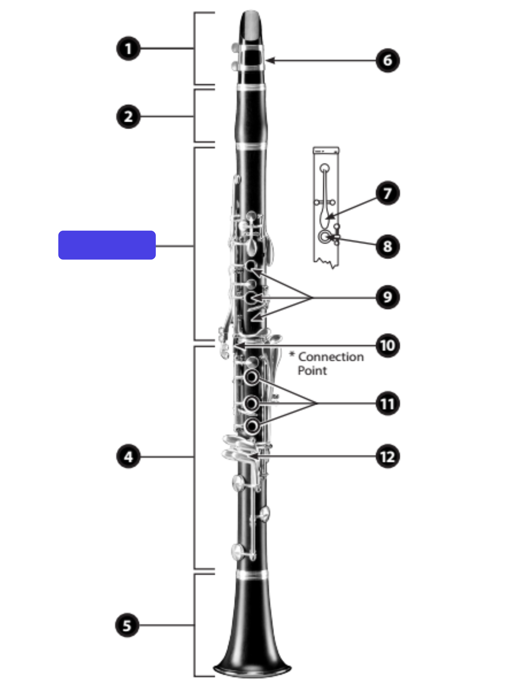 knowt flashcard image