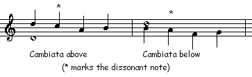 <p>Motion in a melody, typically moving in a step, another step, a skip and then a step in the other direction. With an [apparent] dissonate skip.</p>