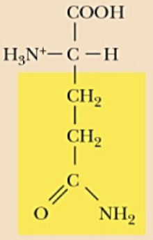 <p>Name (Abbr.) - polarity, a/n/b</p>