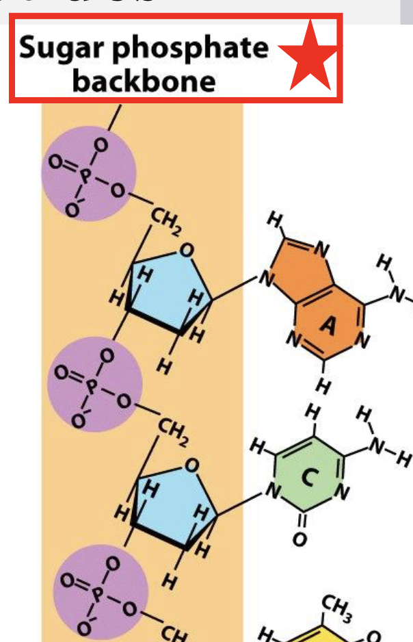 <p>what end is the red box on?</p>