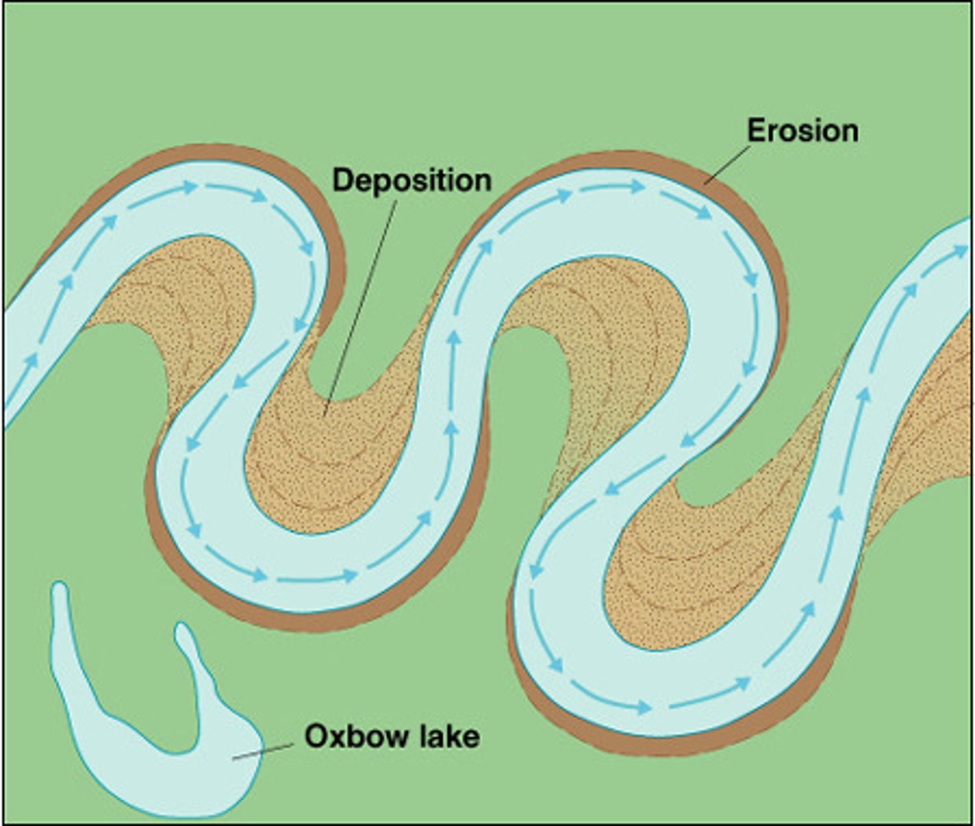 <p>rivers develop large bands</p>