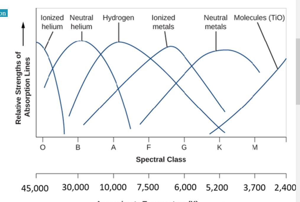<p>Suppose you obtained a stellar spectrum and it had weak hydrogen absorption lines and comparatively strong neutral helium absorption lines.</p><p>What would be a reasonable temperature estimate for this star?</p><p>a) 6,000 K</p><p>b) 40,000 K</p><p>c) 25,000 K</p><p>d) 10,000 K</p>