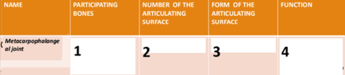 <p>2</p>