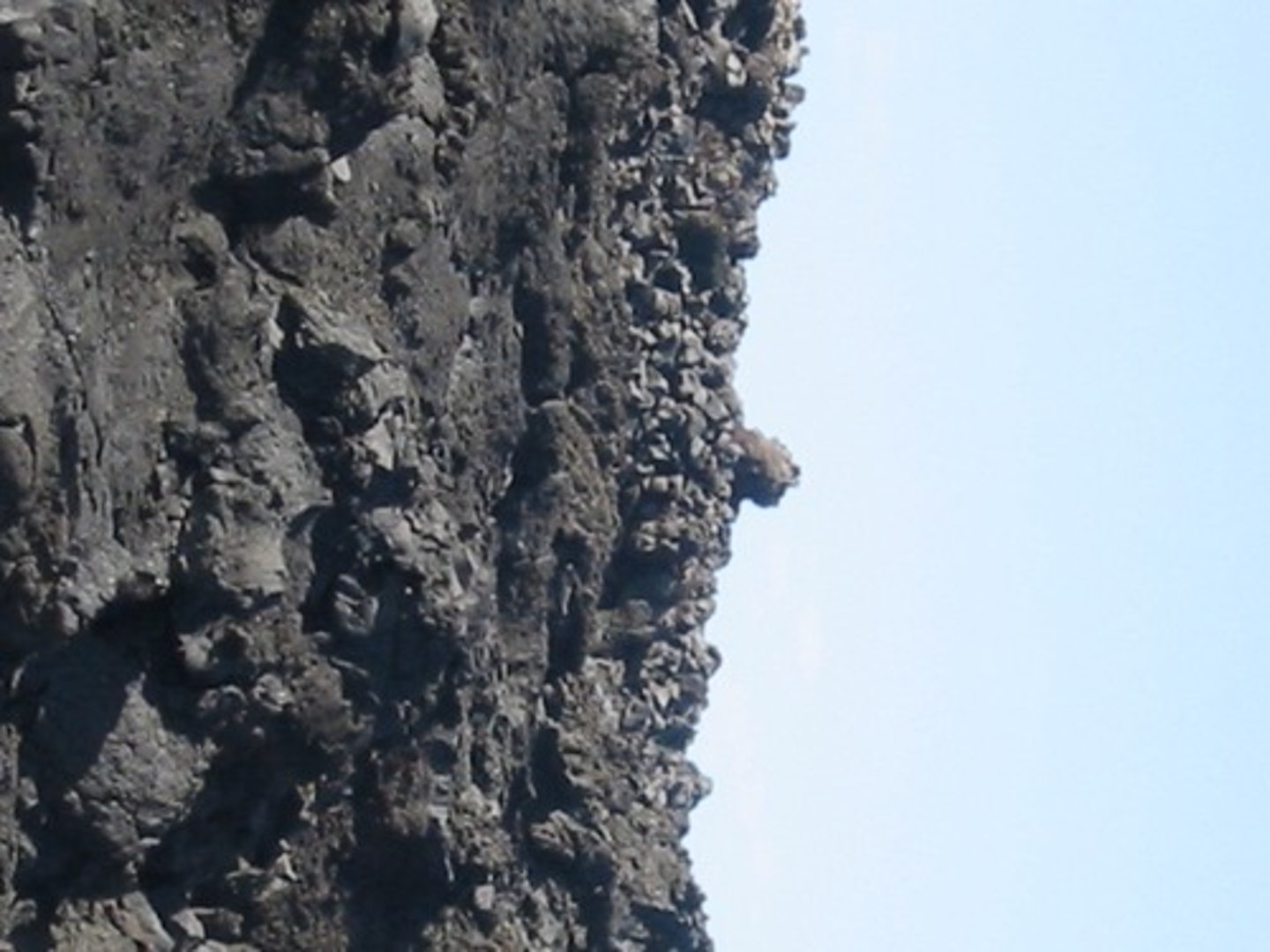 <p>-This is when succession begins in environments that lack organic matter and that have not yet been altered in any way by living organisms.</p><p>-Sites where that was not previously vegetated or all sources of vegetation have been removed.</p><p>-E.g. lava flow that covers and eliminated seeds, or glacial retreat: may have been vegetation before, but there is no more remnants of the vegetation. Severe fires could also cause this.</p>