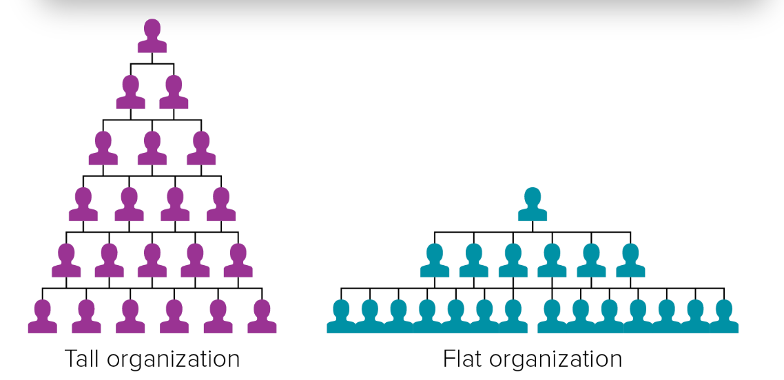 <p>The number of people reporting directly to a given manager; narrow (or tall) and wide (or flat)</p>
