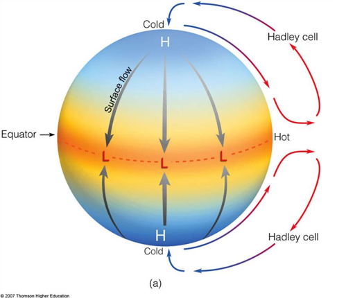 <p>describe the movement of air between equator and poles (4) </p>