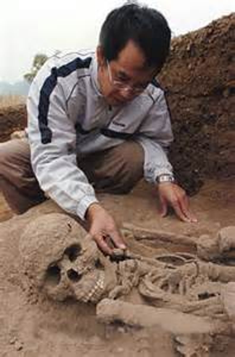 <p>archaeologist</p>